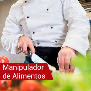 Certificado + Carnet de Manipulador