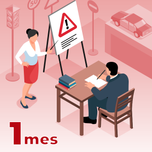 Curso Teórico Fácil Acceso Básico 1 mes